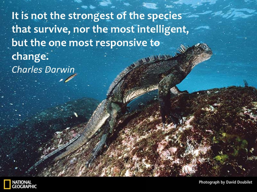 Picture of the Galapagos Marine Iguana with a Darwin quote on survival of the species