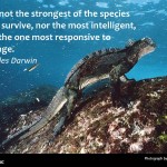 Five quotes on resilience