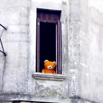 Don’t forget Teddy!