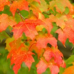 Ponderings on change