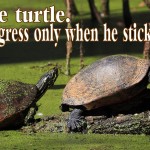 Quotes on taking risks
