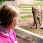 Surviving fieldtrips with special needs children