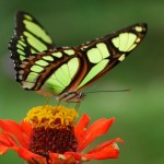 Quotes about change
