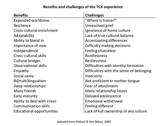 A table listing the pros and cons, benefits and challenges of expat life on children